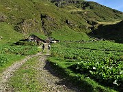 Monte Mincucco (cima 2001 m – croce 1832 m) dai Piani dell’Avaro il 19 agosto 2020 - FOTOGALLERY